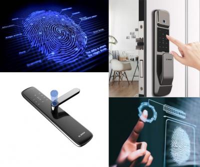 Khóa Vân Tay Là Gì? Cấu Tạo, Nguyên Lý Hoạt Động & Ưu Điểm