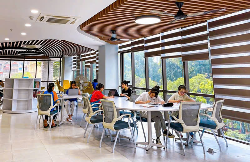 Quy trình triển khai hệ thống mạng trường học tại Kỹ Thuật 24h